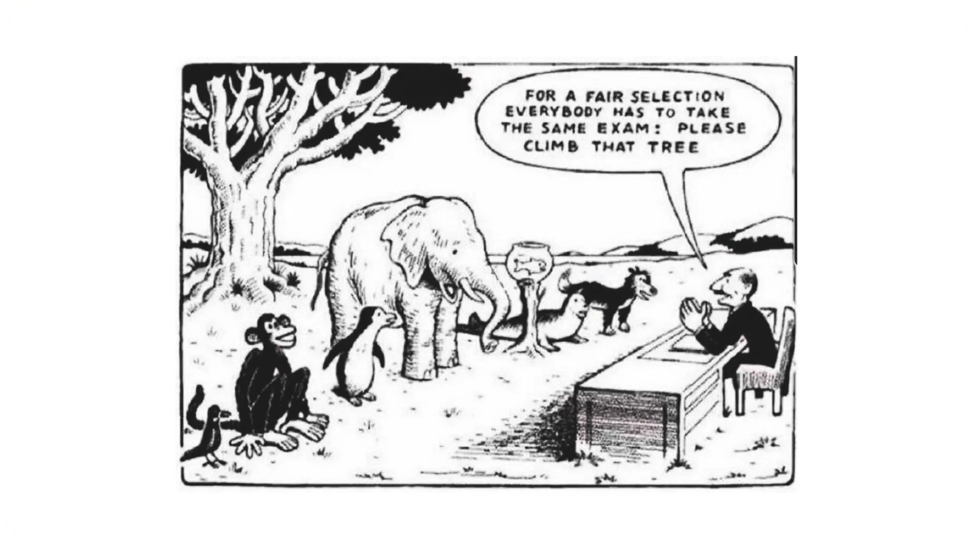 A bird, a monkey, a penguin, an elephant, a fish in a bowl, a seal and a dog are all lined up in front of a man behind a desk, with a tree behind them. The man says "for a fair selection everybody has to take the same exam: please climb that tree."